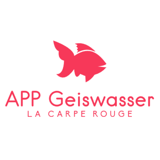 Logo APP Geiswasser